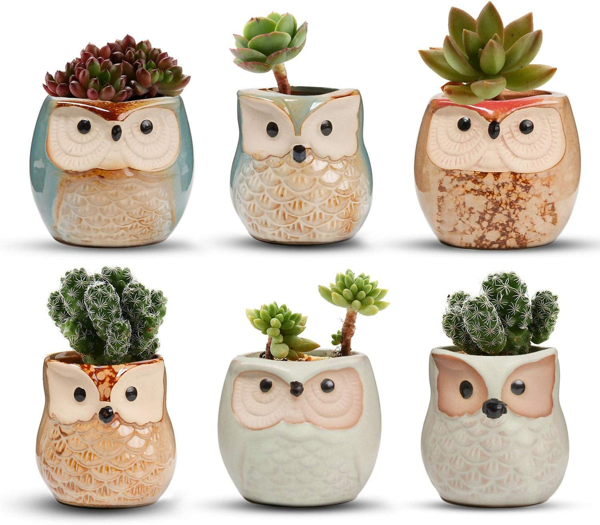 T4U Owl Succulent Pots, Mini Ceramic Gift Pots with Drainage, Retro 6 Pack