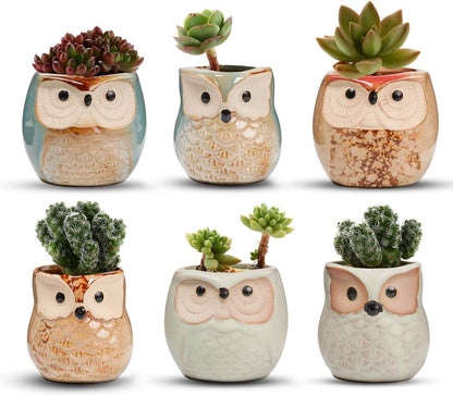 T4U Owl Succulent Pots, Mini Ceramic Gift Pots with Drainage, Retro 6 Pack
