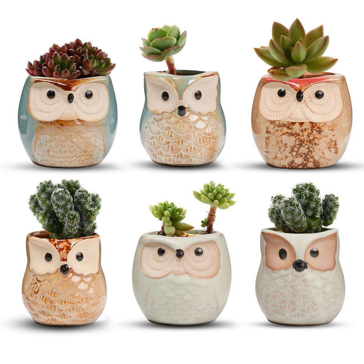T4U Owl Succulent Pots, Mini Ceramic Gift Pots with Drainage, Retro 6 Pack