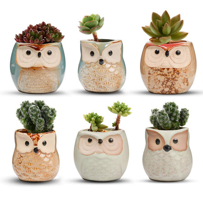T4U Owl Succulent Pots, Mini Ceramic Gift Pots with Drainage, Retro 6 Pack