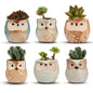 T4U Owl Succulent Pots, Mini Ceramic Gift Pots with Drainage, Retro 6 Pack