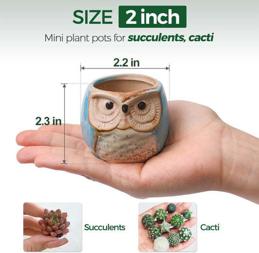 T4U Owl Succulent Pots, Mini Ceramic Gift Pots with Drainage, Retro 6 Pack
