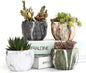 Sun-E Ceramic Succulent Pots, 3.35 Inch Marbled Flower Pots, Set of 4