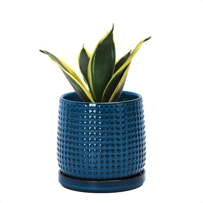 D'vine Dev Beaded Ceramic Pot with Saucer, 4 in, Midnight Blue, 27-C-Z-3