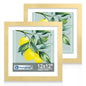 Hongkee 5x7 Picture Frame Set of 2, Real Glass and Wood Frame for Mat 4x6