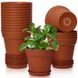 T4U Small Plant Pots 5 Inch 18 Pack, Plastic Flower Pots with Saucer White