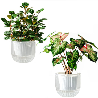 Melphoe Self Watering Pots for Indoor Plants Planter, 4.3 Inch 2 Pack Planters Self Watering Plant Pots for Flower, Houseplants, Succulent, African Violets and Cactus with Drainage