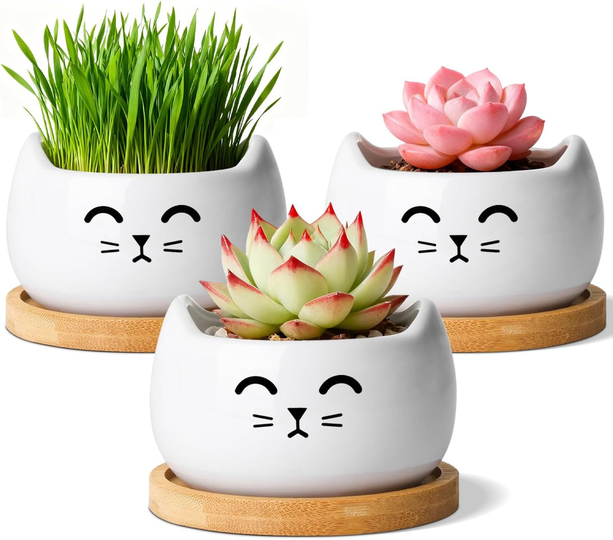 T4U Cat Ceramic Succulent Pots 3 Pcs, Animal Design Decorative Gift Planter