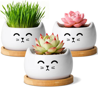 T4U Cat Ceramic Succulent Pots 3 Pcs, Animal Design Decorative Gift Planter