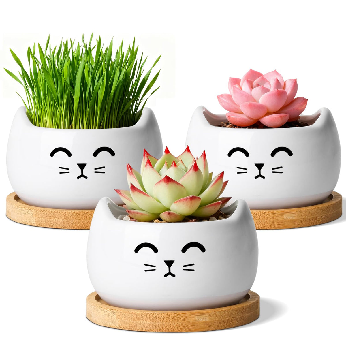 T4U Cat Ceramic Succulent Pots 3 Pcs, Animal Design Decorative Gift Planter