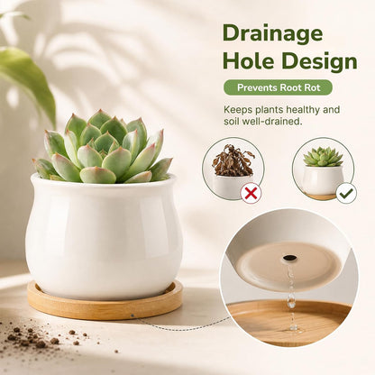 ZOUTOG 12 Pack 2.6" Mini Ceramic Succulent Pots with Drainage Hole