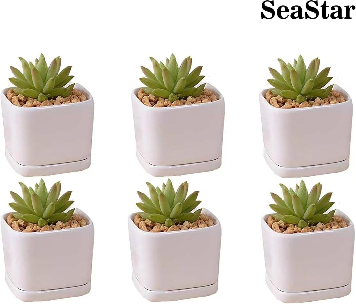 SeaStar Ceramic Succulent Mini Planter Pot,Mini 6 Set 2x1.65x2inch Square Modern Minimalist White/Window Box with Saucer for Office,Desk,House Balcony Landscape