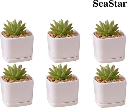 SeaStar Ceramic Succulent Mini Planter Pot,Mini 6 Set 2x1.65x2inch Square Modern Minimalist White/Window Box with Saucer for Office,Desk,House Balcony Landscape