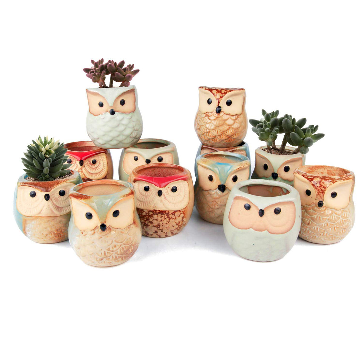 T4U Owl Succulent Pots, Mini Ceramic Gift Pots with Drainage, Retro 6 Pack