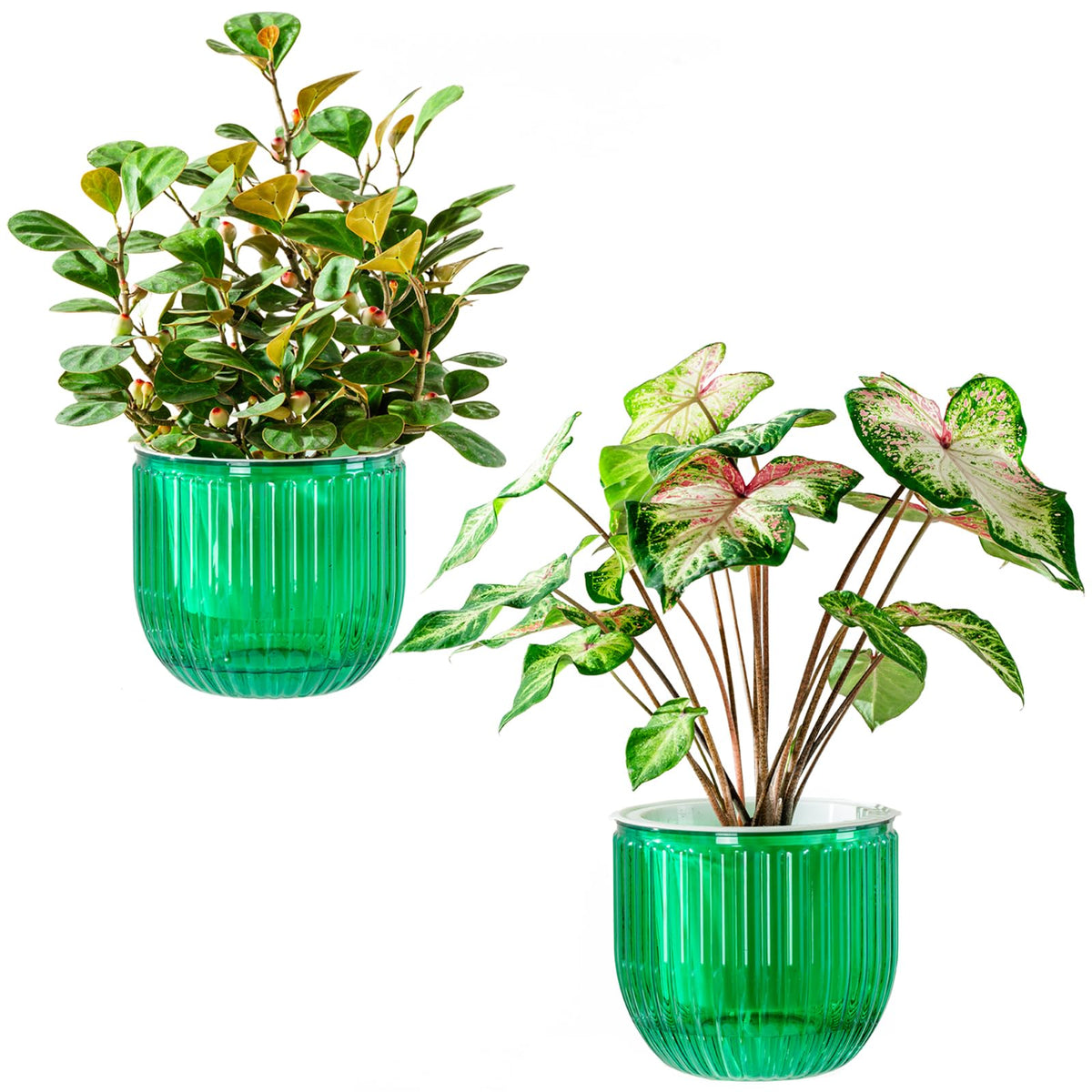 Melphoe Self Watering Pots for Indoor Plants Planter, 4.3 Inch 2 Pack Planters Self Watering Plant Pots for Flower, Houseplants, Succulent, African Violets and Cactus with Drainage