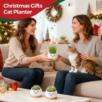 T4U Cat Ceramic Succulent Pots 3 Pcs, Animal Design Decorative Gift Planter