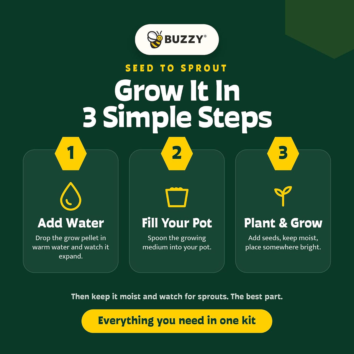 BUZZY Seeds Daydream Grow Kit 6-Pack, Terracotta Pots, Assorted Flowers