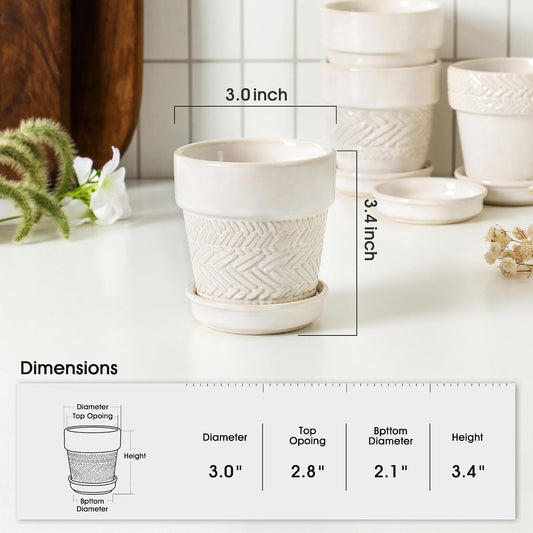 Fayoula Succulent pots,Indoor Small Succulent Bonsai,3 Inch Mini Ceramic Succulent Pots with Saucer and Drainage Hole, Decorative Planter for Succulent, Cactus, Set of 4.