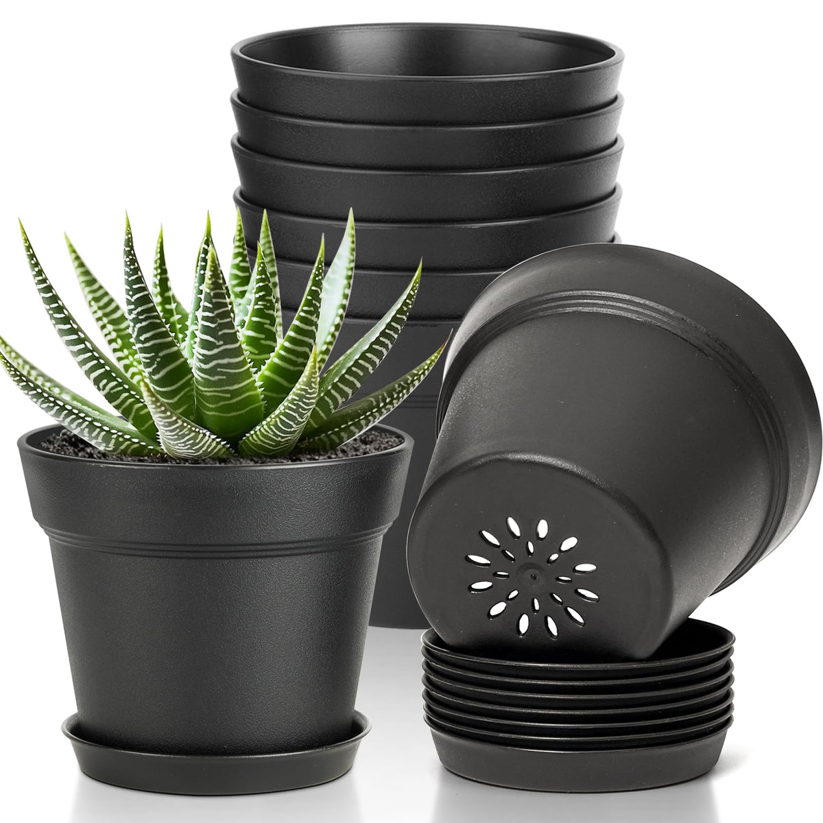 T4U Small Plant Pots 4 Inch 8 Pack, Plastic Indoor Flower Pots Saucer White
