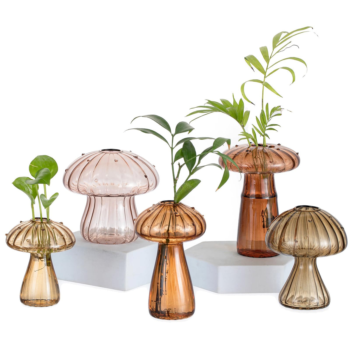 Glasseam Mushroom Plant Propagation Station, Small Glass Propagation Vases