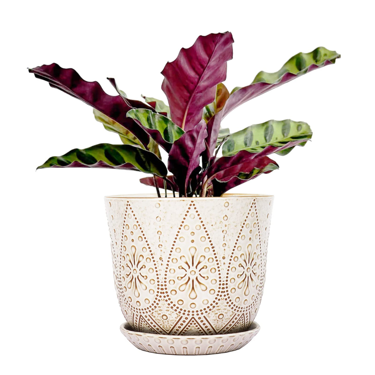 Gepege Ceramic Succulent Pots, 4 Inch Small Plant Pots with Drainage