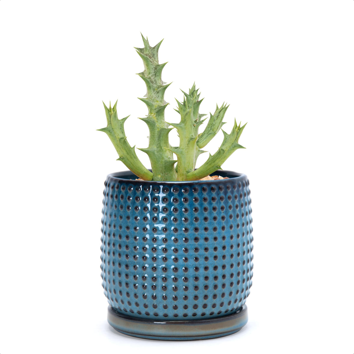 D'vine Dev Beaded Ceramic Pot with Saucer, 4 in, Midnight Blue, 27-C-Z-3