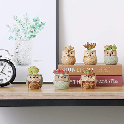 T4U Owl Succulent Pots, Mini Ceramic Gift Pots with Drainage, Retro 6 Pack