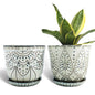 Gepege Ceramic Succulent Pots, 4 Inch Small Plant Pots with Drainage
