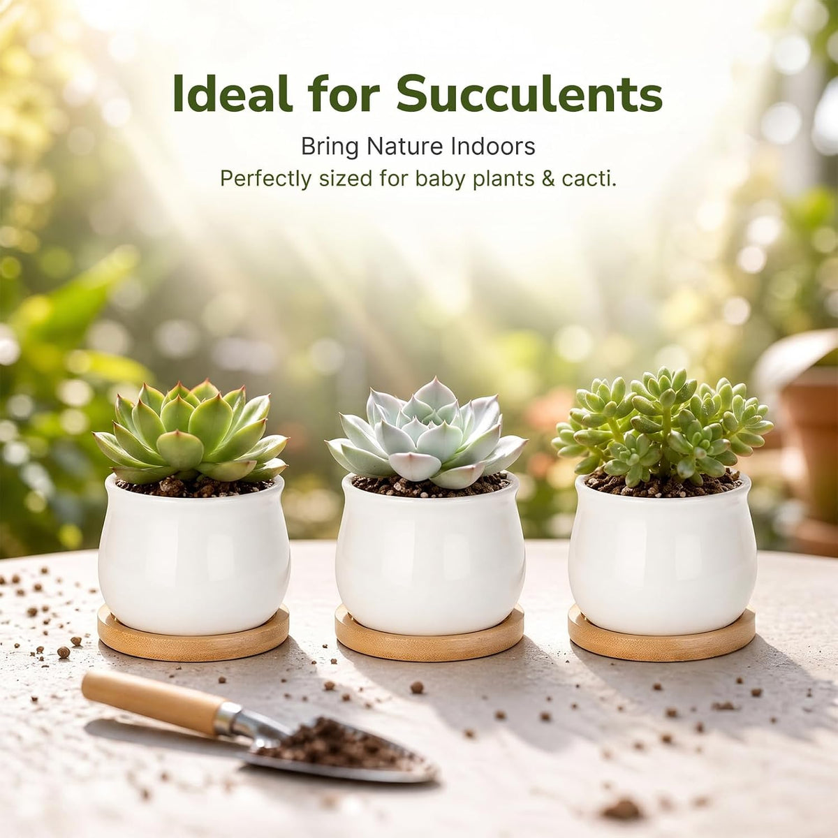 ZOUTOG 12 Pack 2.6" Mini Ceramic Succulent Pots with Drainage Hole