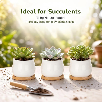 ZOUTOG 12 Pack 2.6" Mini Ceramic Succulent Pots with Drainage Hole