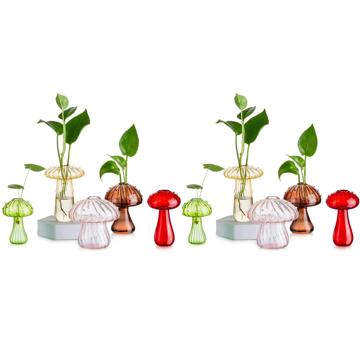Glasseam Mushroom Plant Propagation Station, Small Glass Propagation Vases