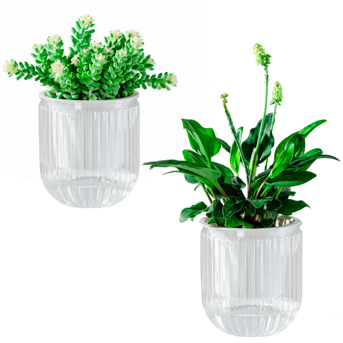 Melphoe Self Watering Pots for Indoor Plants Planter, 4.3 Inch 2 Pack Planters Self Watering Plant Pots for Flower, Houseplants, Succulent, African Violets and Cactus with Drainage