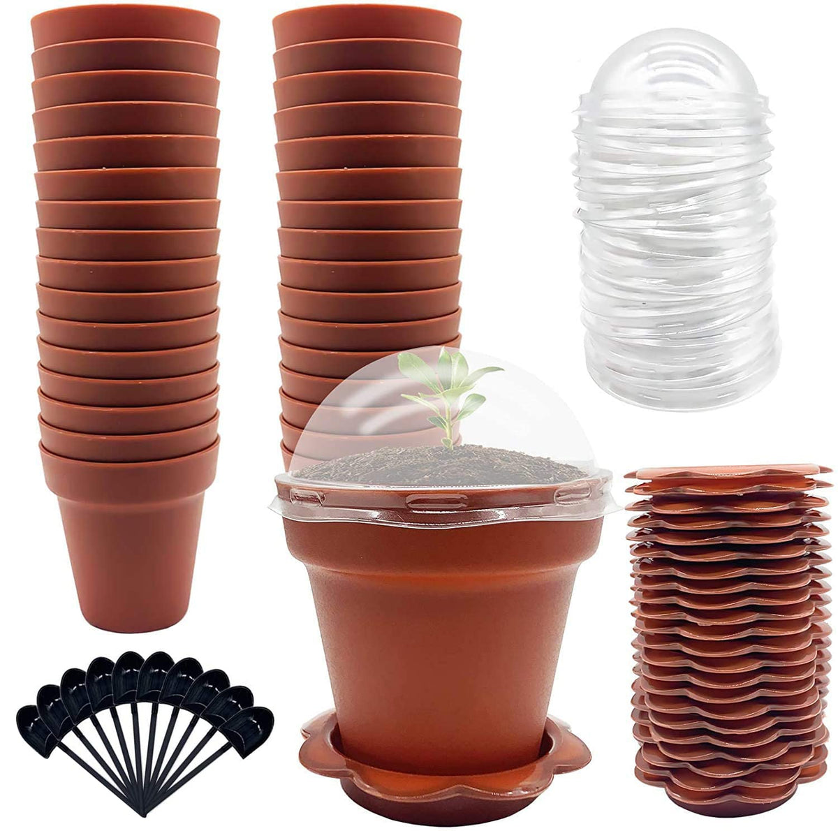 PURPLE STAR 1N 50 Packs Cupcake Plant Nursery Pots with Humidity Dome- Planting Containers Cups- Small Flower Pots with Trays & Lids for Indoor Outdoor Seedling Succulent Vegetable (Wine Red)
