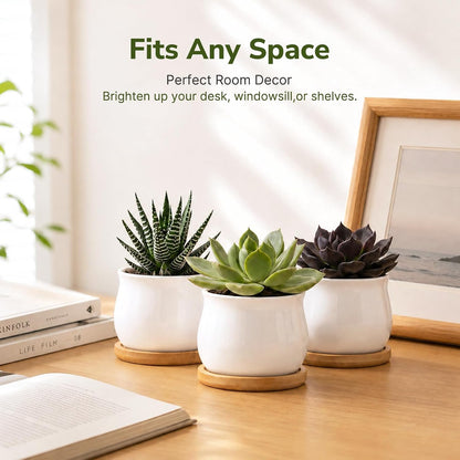 ZOUTOG 12 Pack 2.6" Mini Ceramic Succulent Pots with Drainage Hole