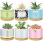 Remerry 6 Pcs Christmas Teacher Gifts Ceramic Succulent Plant Pot, Classic