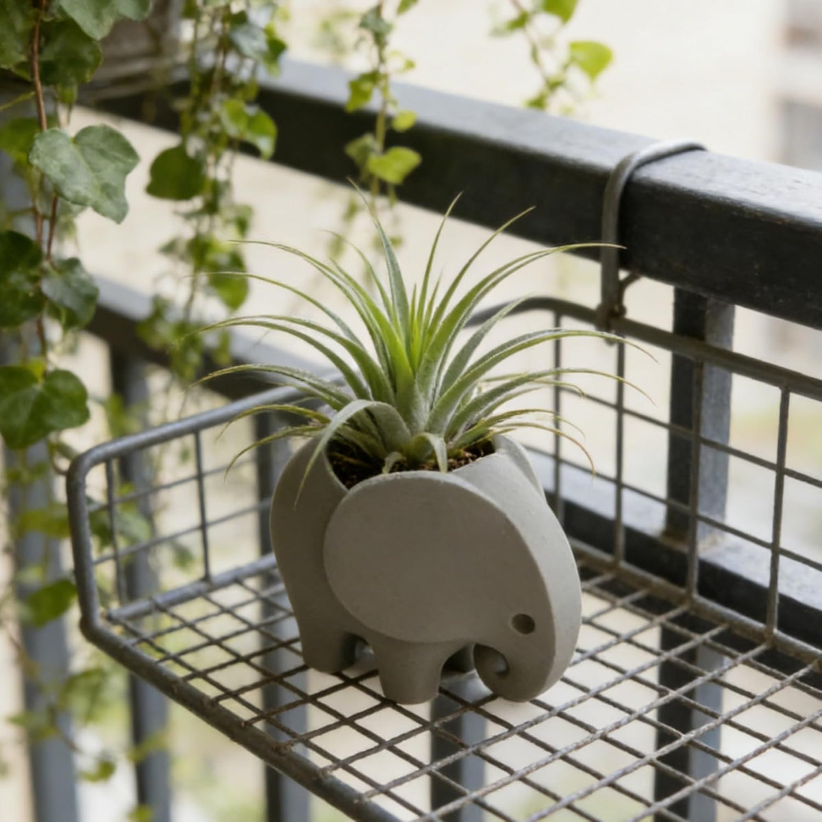 Mini Elephant Succulent Planter, Small Animal Shaped Flower Pot for Cactus & Air Plants, Desk, Home, Office & Windowsill Decoration Pot