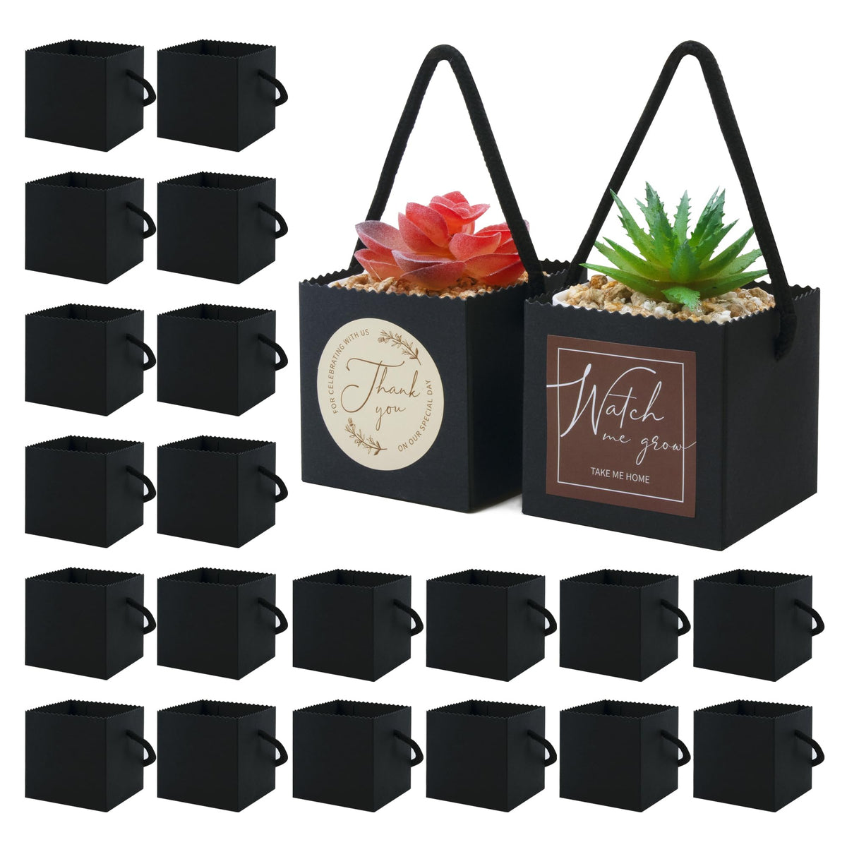 Temlum 2.5 Inch Succulent Wrap Bags (Fits 2.5″ Pots) with Thank You & Let Love Grow Stickers, Small Gift Box for Wedding, Baby Shower, Succulent Party Favors for Guests (Brown 40pcs)