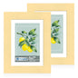 Hongkee 5x7 Picture Frame Set of 2, Real Glass and Wood Frame for Mat 4x6