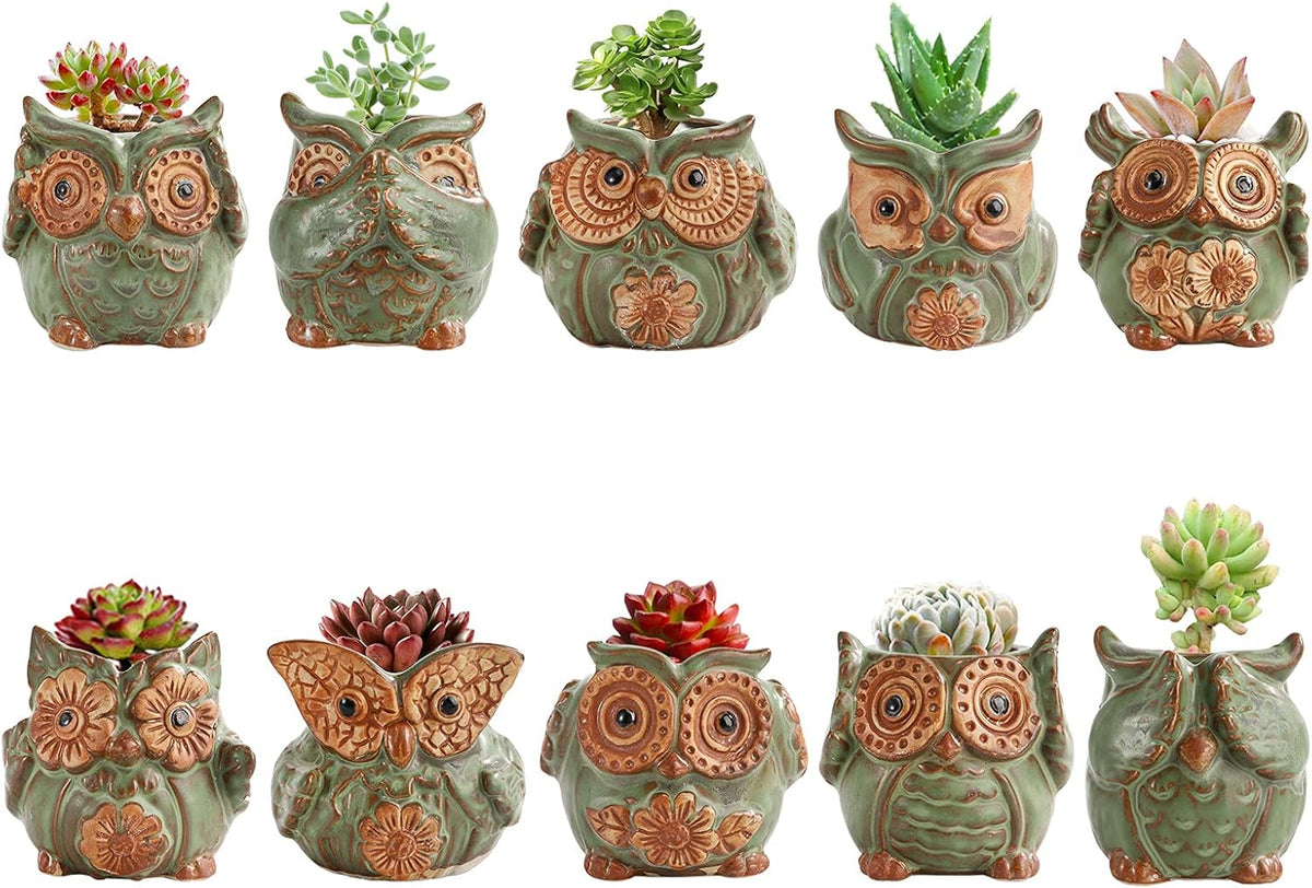 TOPZEA 10 Pack Succulent Planter Pots with Drainage Hole, Cute Owl Ceramic Small Planters Animal Tiny Flower Plant Pots Containers Indoor for Cactus, Herb, Home, Garden, Windowsill, Coffee Table Decor