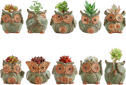 TOPZEA 10 Pack Succulent Planter Pots with Drainage Hole, Cute Owl Ceramic Small Planters Animal Tiny Flower Plant Pots Containers Indoor for Cactus, Herb, Home, Garden, Windowsill, Coffee Table Decor