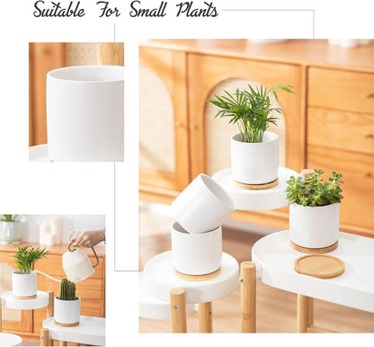 4 Inch Ceramic Plant Pot with Saucer, White Planters Pots with Drainage Hole and Mesh Pads for Succulent, Snake, Cactus, Herbs - 4 Packs(Plant Not Included)