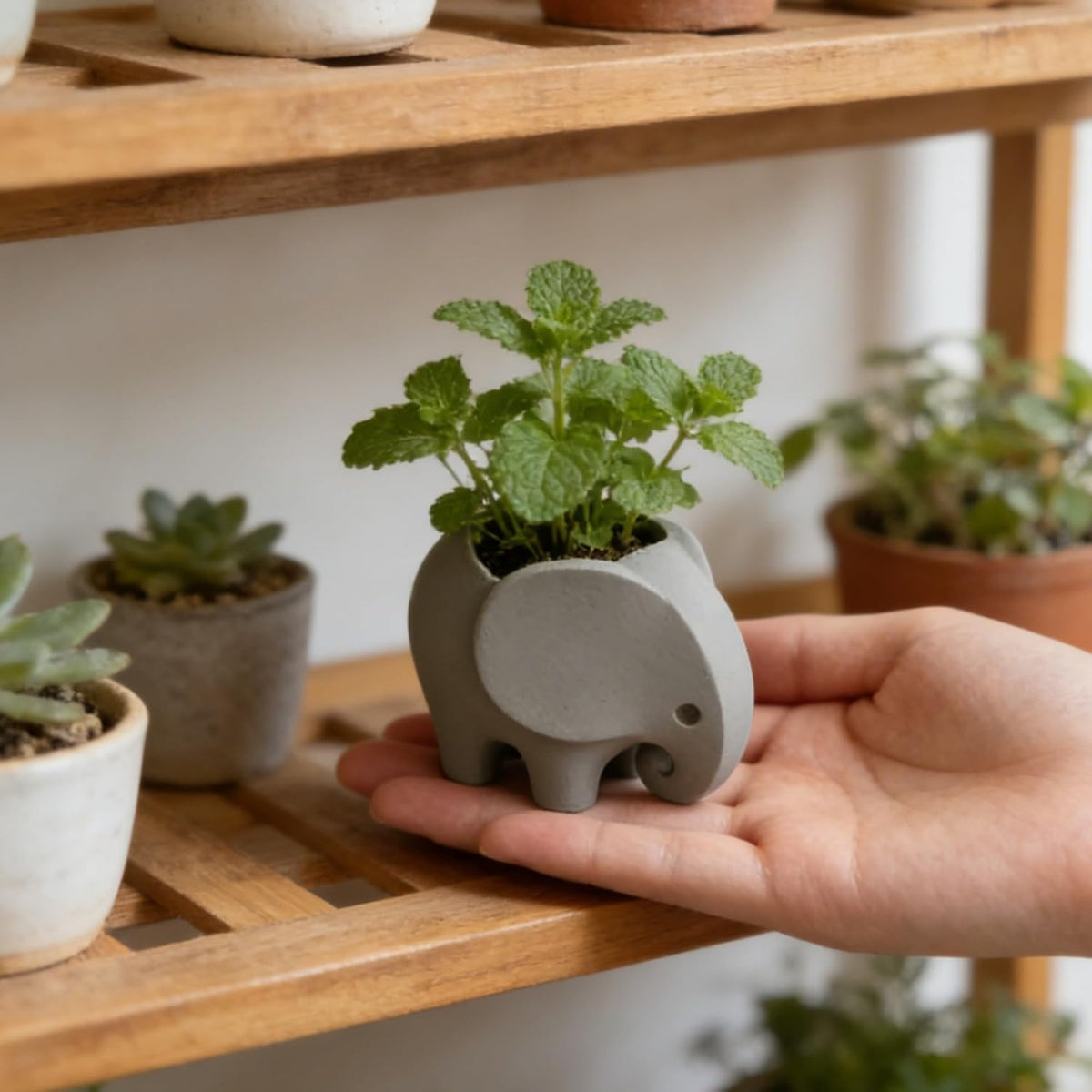 Mini Elephant Succulent Planter, Small Animal Shaped Flower Pot for Cactus & Air Plants, Desk, Home, Office & Windowsill Decoration Pot