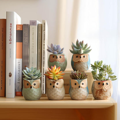 T4U Owl Succulent Pots, Mini Ceramic Gift Pots with Drainage, Retro 6 Pack