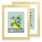 Hongkee 5x7 Picture Frame Set of 2, Real Glass and Wood Frame for Mat 4x6