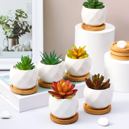 Gerrii 24 Pcs Succulent Pots Mini White Ceramic Flower Planter Pot Succulent Planters with Wooden Trays and Drainage Holes for Plants Cactus Home Office Decoration, Plants Not Included(Diamond)