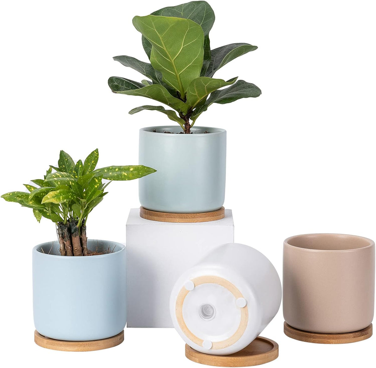 4 Inch Ceramic Plant Pot with Saucer, White Planters Pots with Drainage Hole and Mesh Pads for Succulent, Snake, Cactus, Herbs - 4 Packs(Plant Not Included)