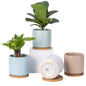 4 Inch Ceramic Plant Pot with Saucer, White Planters Pots with Drainage Hole and Mesh Pads for Succulent, Snake, Cactus, Herbs - 4 Packs(Plant Not Included)