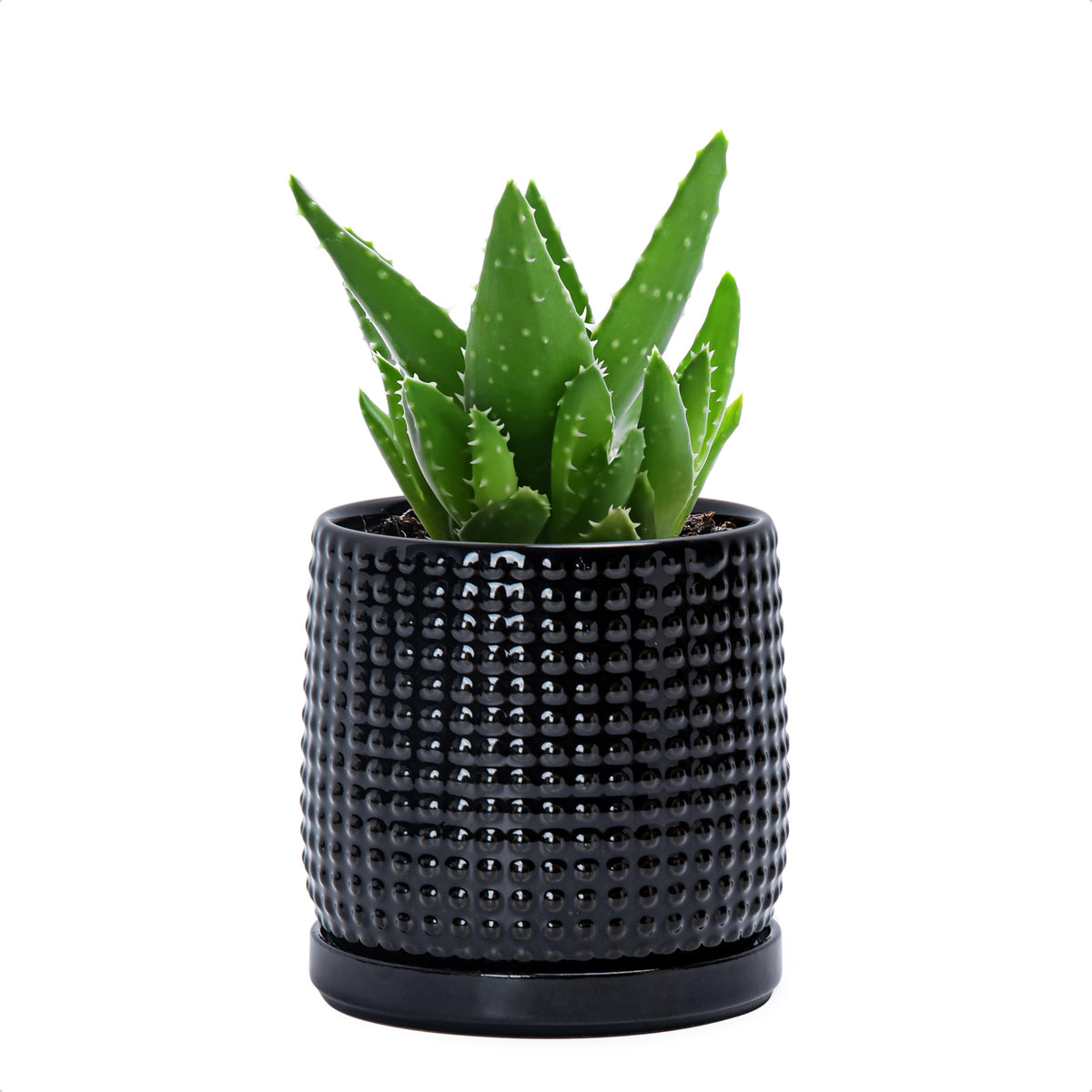 D'vine Dev Beaded Ceramic Pot with Saucer, 4 in, Midnight Blue, 27-C-Z-3