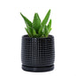 D'vine Dev Beaded Ceramic Pot with Saucer, 4 in, Midnight Blue, 27-C-Z-3