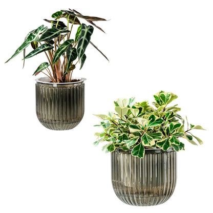 Melphoe Self Watering Pots for Indoor Plants Planter, 4.3 Inch 2 Pack Planters Self Watering Plant Pots for Flower, Houseplants, Succulent, African Violets and Cactus with Drainage